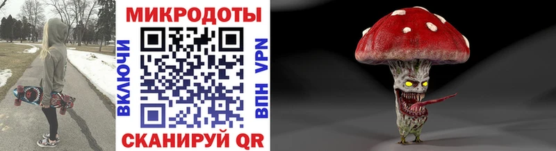 Галлюциногенные грибы Cubensis  Белгород 